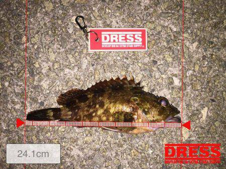 癒しのメバリーング❤